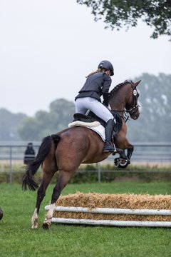 Bild 73 - Pony Akademie Turnier